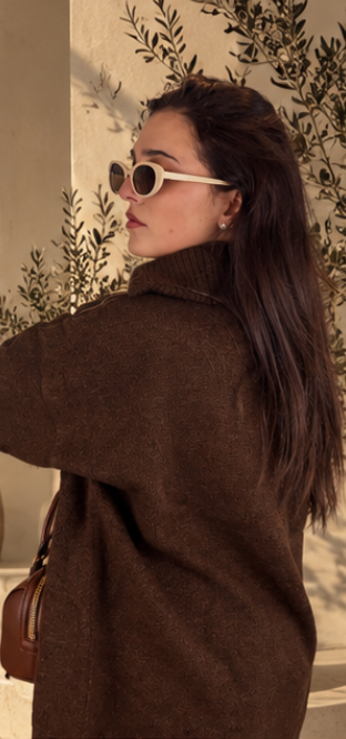 Pull Marron à Zip